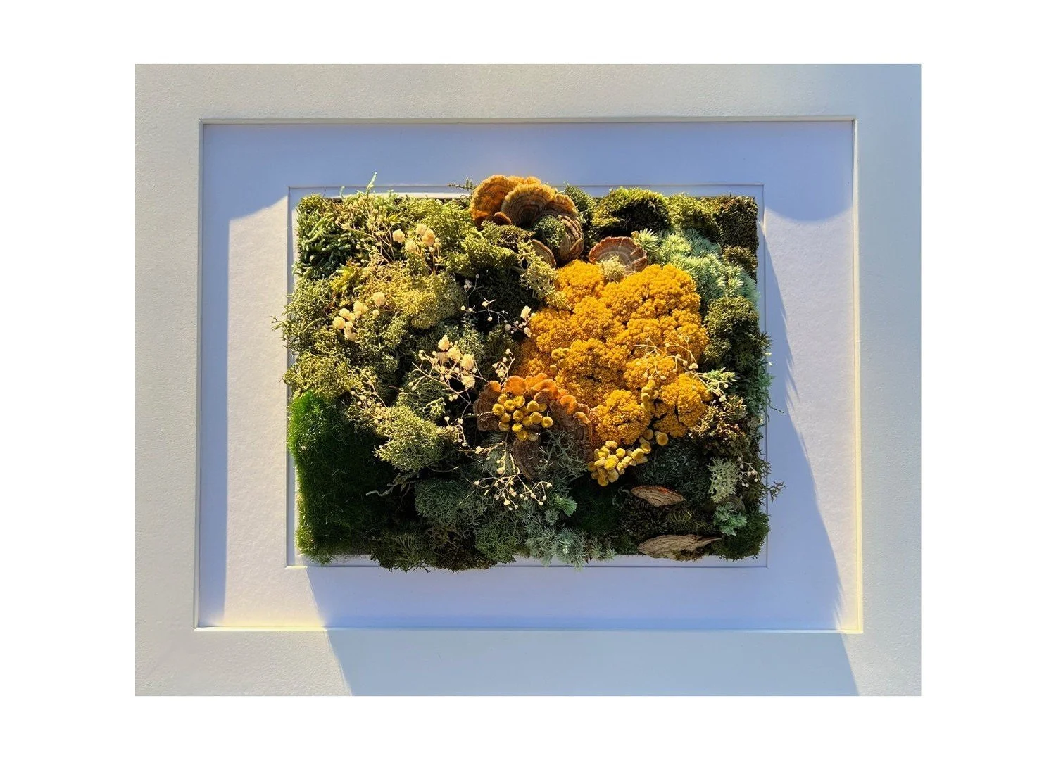 Angela Justice Foresthetic Moss Art — ANGELA JUSTICE | FORESTHETIC